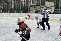 22-hokej