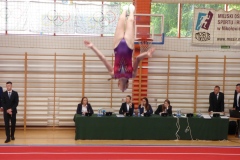 MP Seniorów w skokach na trampolinie