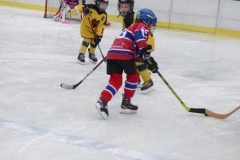 XI-Turniej-mini-hokeja-na-lodzie-28