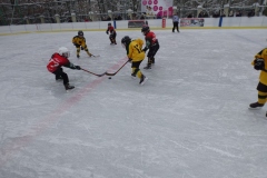 XII Turniej mini - hokeja na lodzie o Puchar Dyrektora MOSiR - 17.12.2022 r.