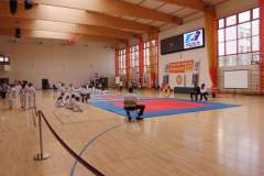 karate_20140408_1021210326