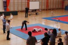 karate_20140408_1052437749
