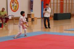 karate_20140408_1276113336