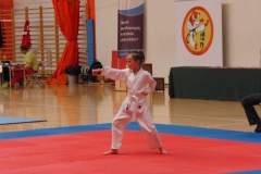 karate_20140408_1537579102