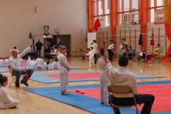karate_20140408_1637215712