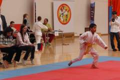 karate_20140408_1755143962