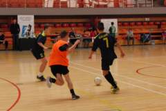 pika_nona_20150302_1029570199