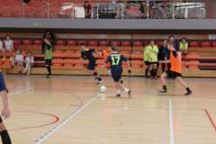 pika_nona_20150302_1337358213