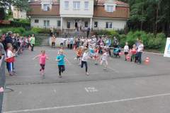 biegi_20160611_1076583156