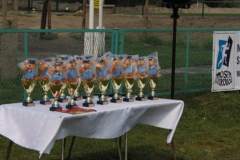 iv_spartakiada_przedszkolakaw_z_hektorem_3_20130508_1339751204