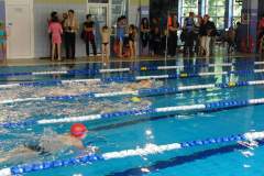 iv_zawody_pywackie_z_okazji_dnia_dziecka_27_20130508_1037448009