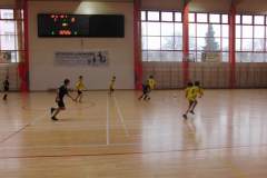 pika_nona_20170220_1157688715
