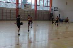 pika_nona_20170220_1311787622