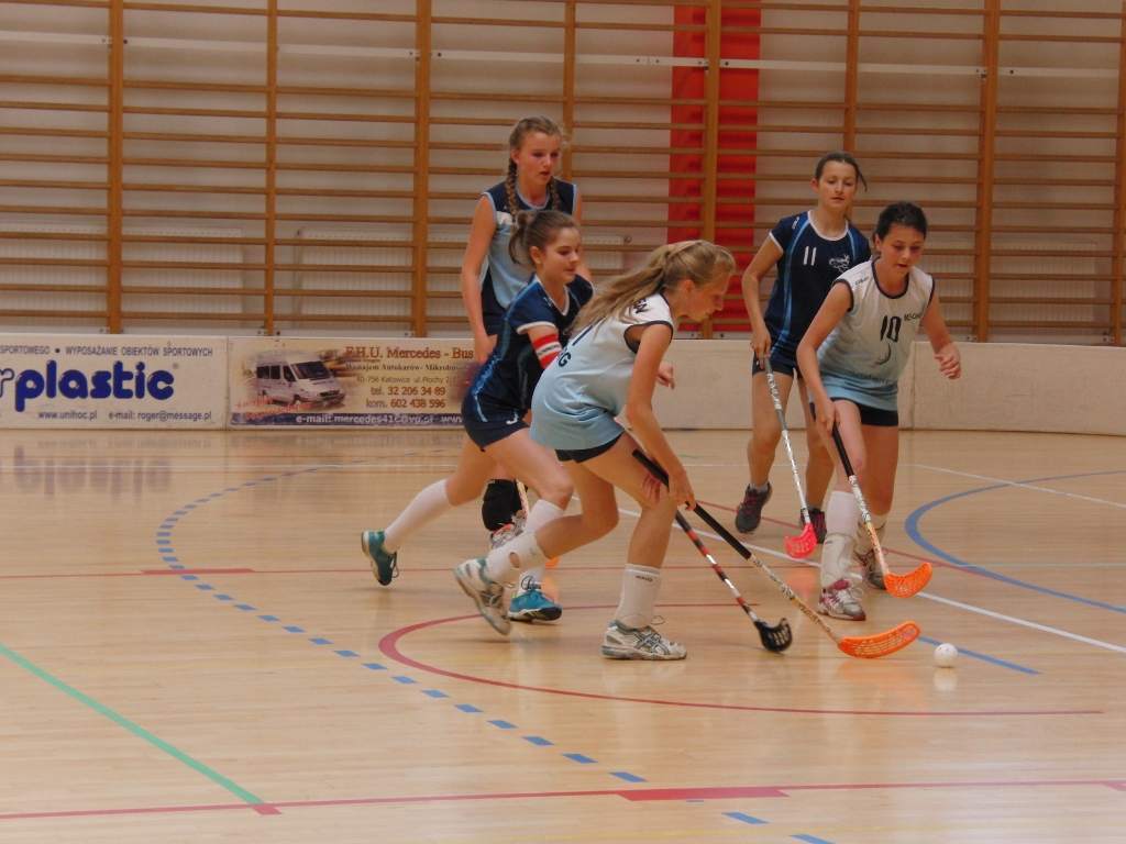 hokej_20160614_1320548574