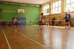 siatkowka_20160606_1244343605