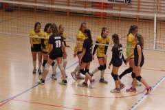 siatkowka_20160606_1378069815