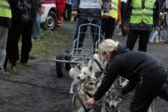 i_midzynarodwe_wycigi_psich_zaprzgaw_23_20130508_1765417094