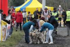 i_midzynarodwe_wycigi_psich_zaprzgaw_24_20130508_1642893917