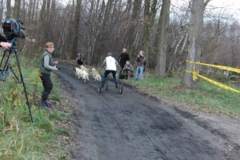 i_midzynarodwe_wycigi_psich_zaprzgaw_27_20130508_1627592004