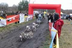 i_midzynarodwe_wycigi_psich_zaprzgaw_2_20130508_1386329262