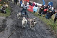i_midzynarodwe_wycigi_psich_zaprzgaw_30_20130508_1247257518