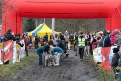 i_midzynarodwe_wycigi_psich_zaprzgaw_33_20130508_1284124231
