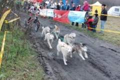 i_midzynarodwe_wycigi_psich_zaprzgaw_34_20130508_1979465852