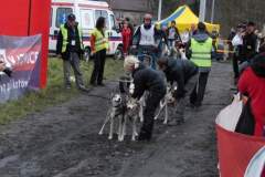 i_midzynarodwe_wycigi_psich_zaprzgaw_40_20130508_1435161605