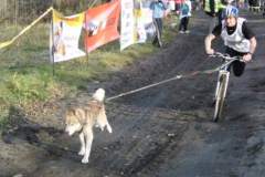 i_midzynarodwe_wycigi_psich_zaprzgaw_43_20130508_1511997991