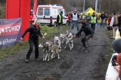 i_midzynarodwe_wycigi_psich_zaprzgaw_45_20130508_1984894374