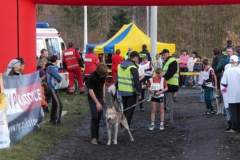i_midzynarodwe_wycigi_psich_zaprzgaw_8_20130508_1888992074