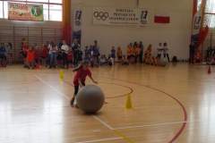 olimpijczycy_20170419_1125672679
