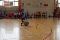 olimpijczycy_20170419_2008095233