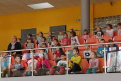 igrzyska_20150421_1519999279