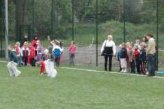 iii_spartakiada_przedszkolakaw_z_hektorem_4_20130508_1376744527