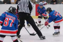 hokej_20131216_1103762561