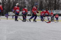 hokej_20131216_1502780035