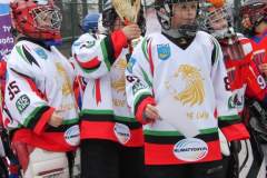 hokej_20131216_1700594141