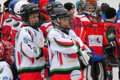 hokej_20131216_1734186715