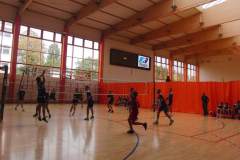 siatkowka_20130925_1877059182
