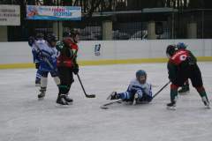 hokej_20141213_1118078739