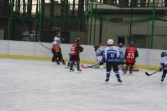 hokej_20141213_1177755490
