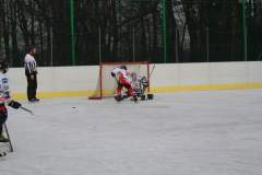 hokej_20141213_1224622933