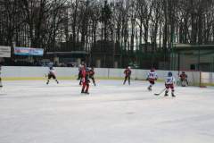hokej_20141213_1407316140