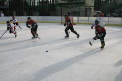 hokej_20141213_1554558243