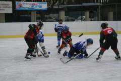hokej_20141213_1590862864