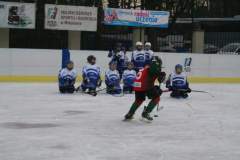 hokej_20141213_1699402994