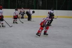 hokej_20141213_1779256372