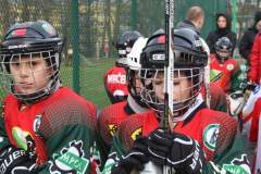 hokej_20141213_1814465379