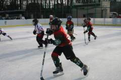 hokej_20141213_1942550387